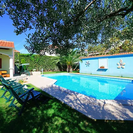 Marinko, No 2 자다르